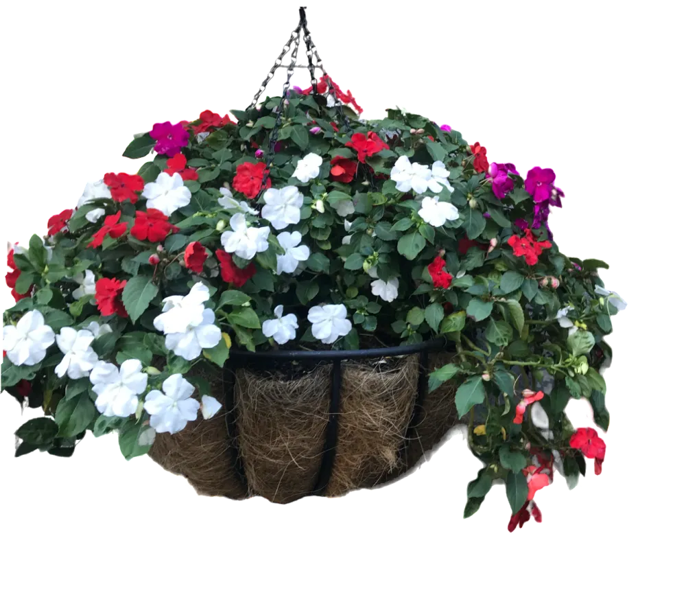 Outdoor Flowering Baskets
