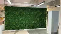 Artificial Plant Walls
