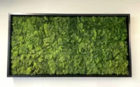 Reindeer Moss wall panels